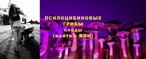 молекула духа Наволоки