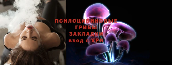 дурь Надым