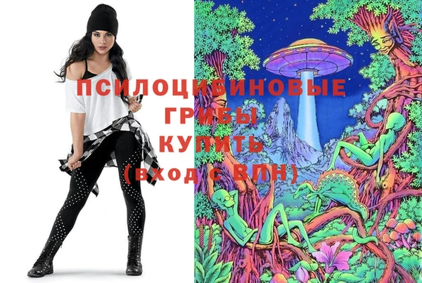 дурь Надым