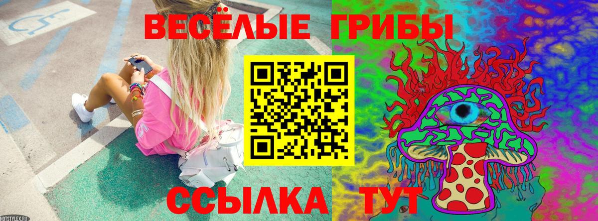 Псилоцибиновые грибы Magic Shrooms  Краснодар 