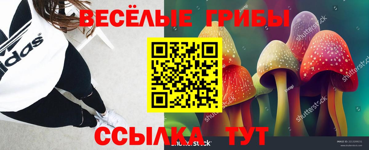 Краснодар  Галлюциногенные грибы Psilocybine cubensis  Вход с VPN 